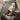Used - Jerebine, Doug - Doug Jerebine Is Jesse Harper - LP - Tone Deaf Records