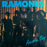 Used - Ramones - Animal Boy - LP - Tone Deaf Records