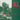 New - All - Pummel - LP - Tone Deaf Records