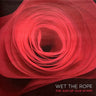 New - Wet The Rope - The Sum Of Our Scars - LP - Tone Deaf Records