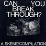 Used - V/A - Can You Break Through? - LP - Tone Deaf Records