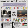 Used - Allen, Donna - 2nd Song Diary: Atom-ic Citizen Of The Dying Empire - LP - Tone Deaf Records