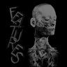 Used - Features - X Features - LP - Tone Deaf Records