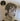 Used - Julie's Haircut - In The Silence Electric - LP - Tone Deaf Records