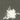 Used - Villages - Theories Of Ageing - LP