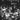 New - SML - Spontaneous Music Live - LP - Tone Deaf Records