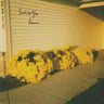 Used - Circuit des Yeux - Sirenum - LP - Tone Deaf Records