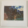 Used - Taste - I Dipped My Comb In Shochu And Ran It Through The Hair Of The Night - LP - Tone Deaf Records