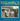 Used - Dogmatics - Everybody Does It - LP - Tone Deaf Records