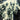 Used - The Frightening Lights - Untitled - LP - Tone Deaf Records