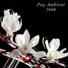 Used - V/A - Ambient Pop 2009 - LP - Tone Deaf Records