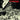 New - Alambrada - Rios de Sangre - LP