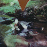 New - Dyslexicon - Dracula At Sea - Cassette - Tone Deaf Records