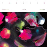 New - Tamaryn - Tender New Signs - LP - Tone Deaf Records