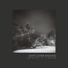 Used - Mayflower Madame - Observed In A Dream - LP - Tone Deaf Records