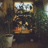 New - Layers In Lairs - Mantles - LP - Tone Deaf Records