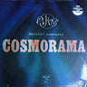 Used - Beautify Junkyards - Cosmorama - LP - Tone Deaf Records