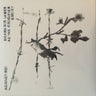 Used - Against Me! - Osama Bin Laden As The Crucified Christ - 7" - Tone Deaf Records