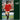 Used - Wedding Present - George Best - 2xLP - Tone Deaf Records