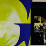 Used - Game Theory - The Big Shot Chronicles - LP - Tone Deaf Records