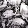 Used - Mono - Rays Of Darkness - LP - Tone Deaf Records