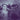 Used - Ghosts Of Dance - Walking Through Gardens - LP - Tone Deaf Records