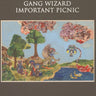 Used - Gang Wizard - Important Picnic - LP - Tone Deaf Records