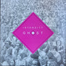 Used - Forsyth, Chris & The Solar Motel Band - Intensity Ghost - LP - Tone Deaf Records