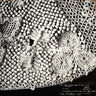 Used - Part Wild Horses Mane On Both Sides - Poisson - LP - Tone Deaf Records