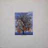 Used - Talk Talk - Spirit Of Eden - LP - Tone Deaf Records