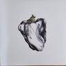 New - Ween - White Pepper - LP - Tone Deaf Records
