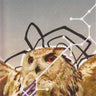 Used - Chikita Violenta - TRE3S - LP - Tone Deaf Records