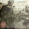 Used - Robinson, Rich - The Ceaseless Light - 2xLP - Tone Deaf Records