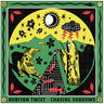 New - Nubiyan Twist - Chasing Shadows - LP - Tone Deaf Records