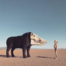 Used - Man Man - Dream Hunting In The Valley Of The In-Between - 2xLP - Tone Deaf Records