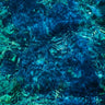 New - Aoba, Ichiko - Luminescent Creatures - LP - Tone Deaf Records