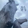 Used - Bottomless Pit - Shade Perennial - LP - Tone Deaf Records