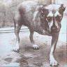 New - Alice In Chains - Self Titled - 2xLP - Tone Deaf Records