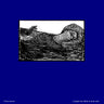 Used - Theoreme - L'Appel Du Midi A Midi Pile - LP - Tone Deaf Records
