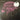 Used - Soft Walls - No Time - LP - Tone Deaf Records