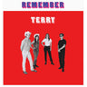 Used - Terry - Remember Terry - LP - Tone Deaf Records