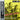 Used - Jacquet, Illinois - Swing's The Thing - LP - Tone Deaf Records