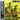 Used - Jacquet, Illinois - Swing's The Thing - LP
