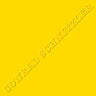 New - Schnitzler, Conrad - Gelb (50th Anniversary Edition) - LP - Tone Deaf Records