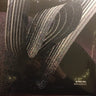 Used - Shenfeld, Maya - In Free Fall - LP - Tone Deaf Records