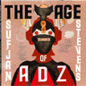 New - Stevens, Sufjan - The Age Of Adz - 2xLP - Tone Deaf Records