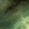 New - Eluvium - Virga III - LP - Tone Deaf Records