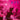 New - XYX - Artificial Flavoring - LP - Tone Deaf Records