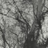 New - Grouper - Way Their Crept - LP - Tone Deaf Records