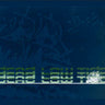 Used - Dead Low Tide - Self Titled - LP - Tone Deaf Records